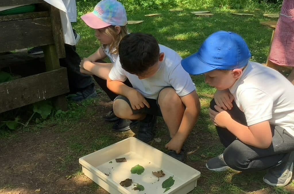 Year 1’s Science trip to Leighton Moss
