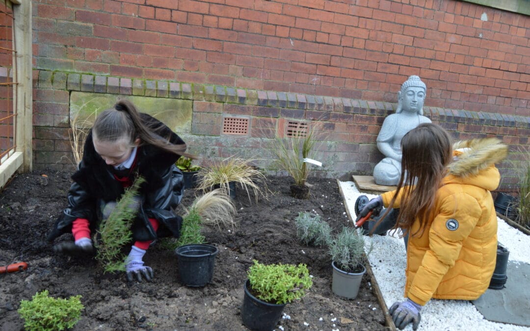 ‘Where the Wildings are’ project – Phase 1 The Zen garden